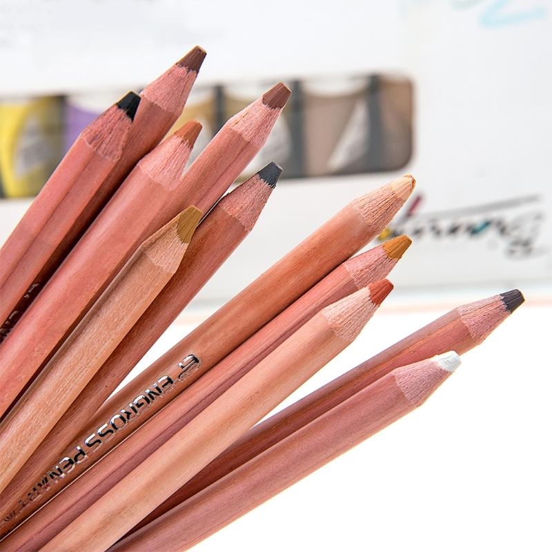 12 個プロフェッショナルソフトパステル鉛筆スキンティントパ - Colored Pencil Professional のレビューと価格
